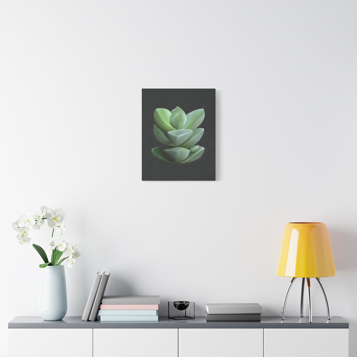 Crassula Canvas Print – Botanical Wall Art