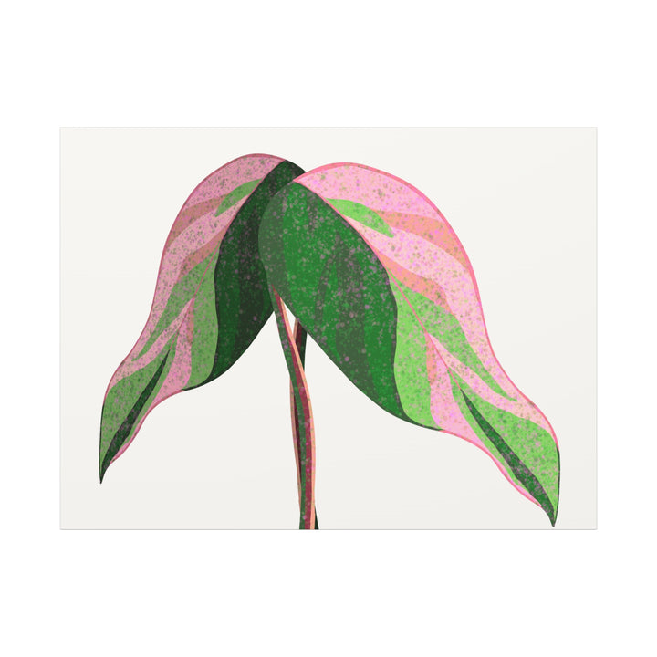 Pink Princess Philodendron Canvas Print Botanical Wall Art For Indoor Decor Modern Living Room Poster