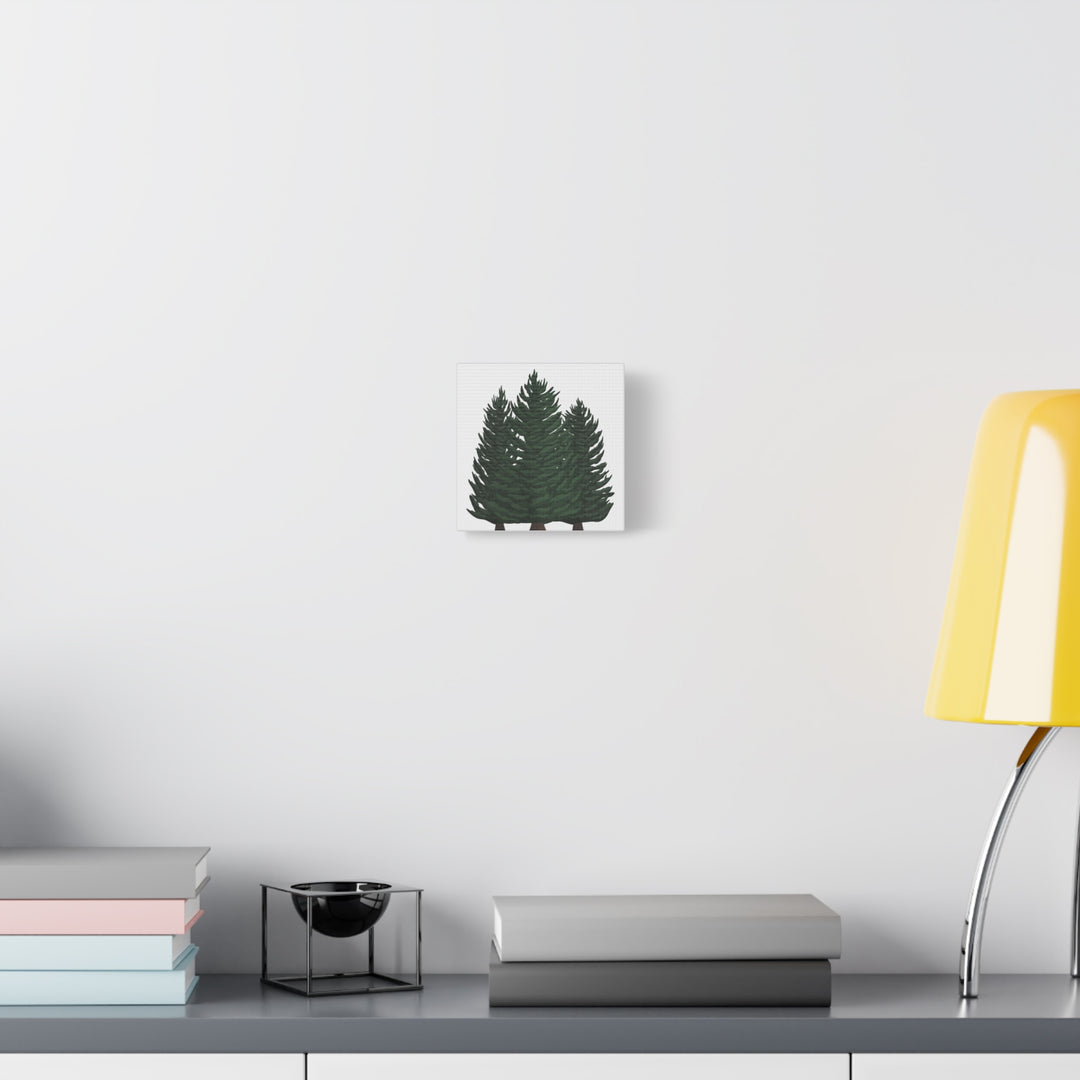 Douglas Fir Canvas Print – Wall Art