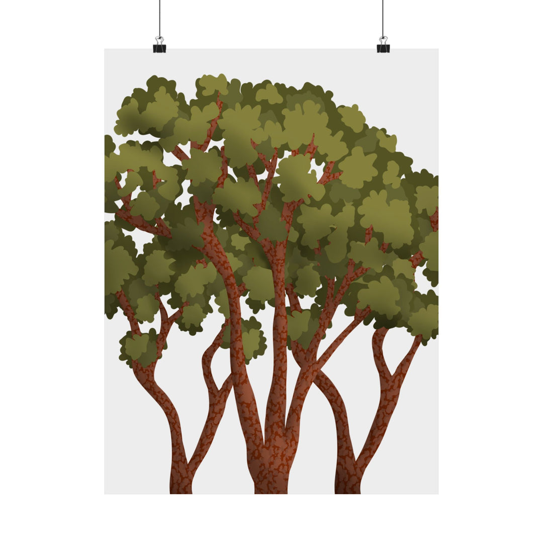 Pacific Madrone Print – Unframed Wall Art