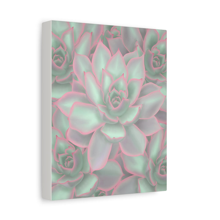 Echeveria Violet Queen Canvas Wall Art Succulent Print Matte Botanical Decor For Indoor Spaces