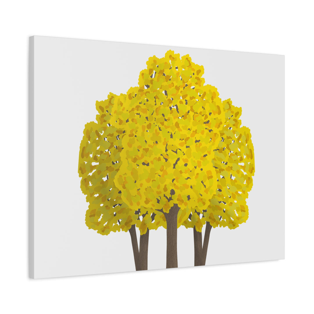 Big Leaf Maple Canvas Print – Wall Art