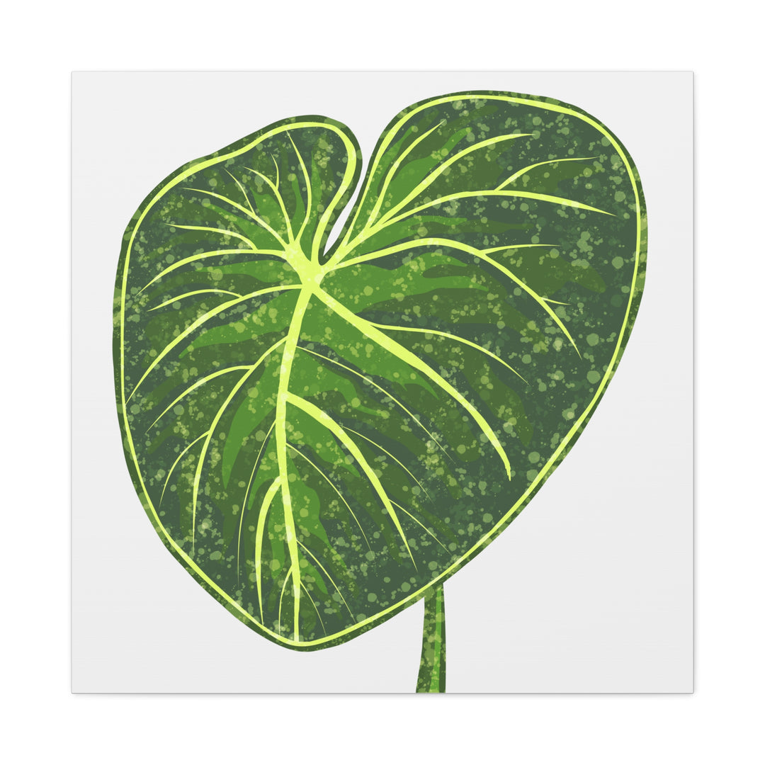 Philodendron Gloriosum Canvas Print Stretched Wall Art Botanical Leaf Print Matte Finish Gallery Wrapped Canvas