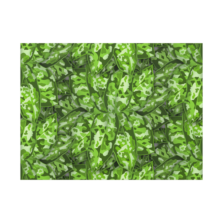 Aglaonema Pictum Canvas Wall Art Rare Plant Print Matte Finish For Modern Home Decor