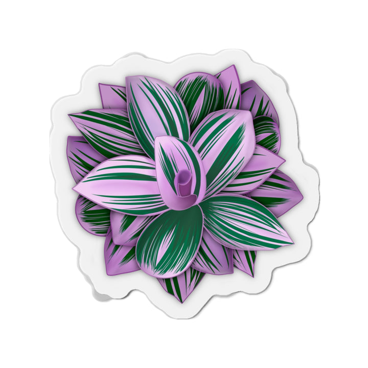 Tradescantia Nanouk Magnet
