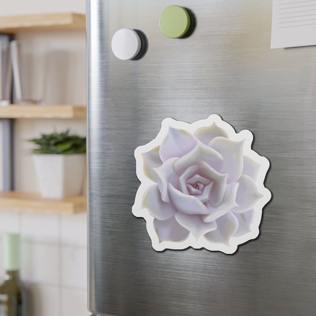 Echeveria Lilacina Succulent Magnet