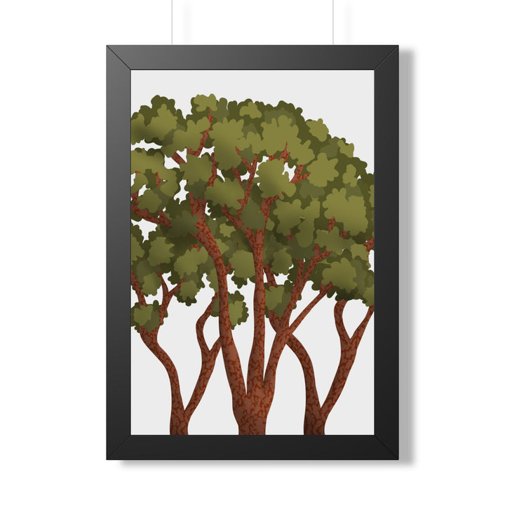 Pacific Madrone Framed Print – Wall Art