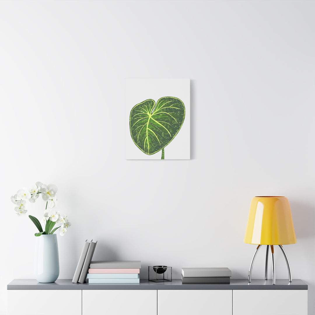 Philodendron Gloriosum Canvas Print Stretched Wall Art Botanical Leaf Print Matte Finish Gallery Wrapped Canvas