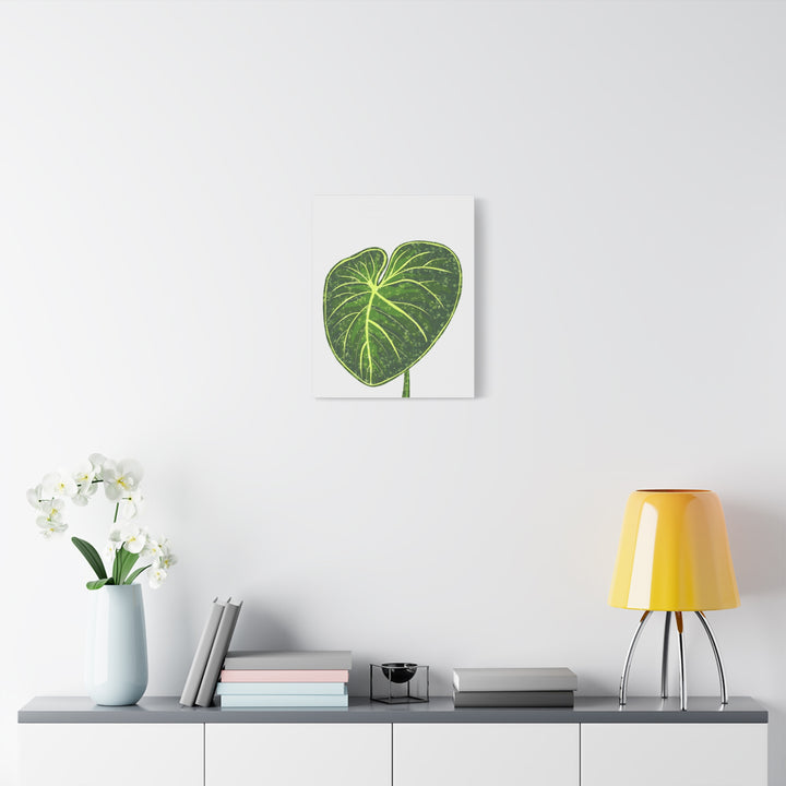 Philodendron Gloriosum Canvas Print Stretched Wall Art Botanical Leaf Print Matte Finish Gallery Wrapped Canvas