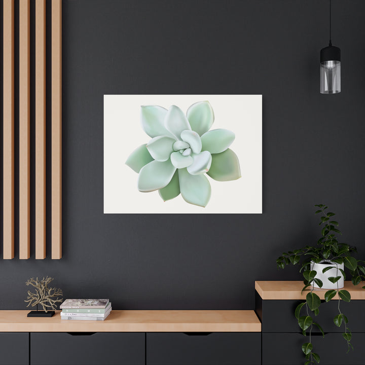 Succulent Canvas Art Pachyveria Haagei Print On Matte Finish Canvas Botanical Wall Decor