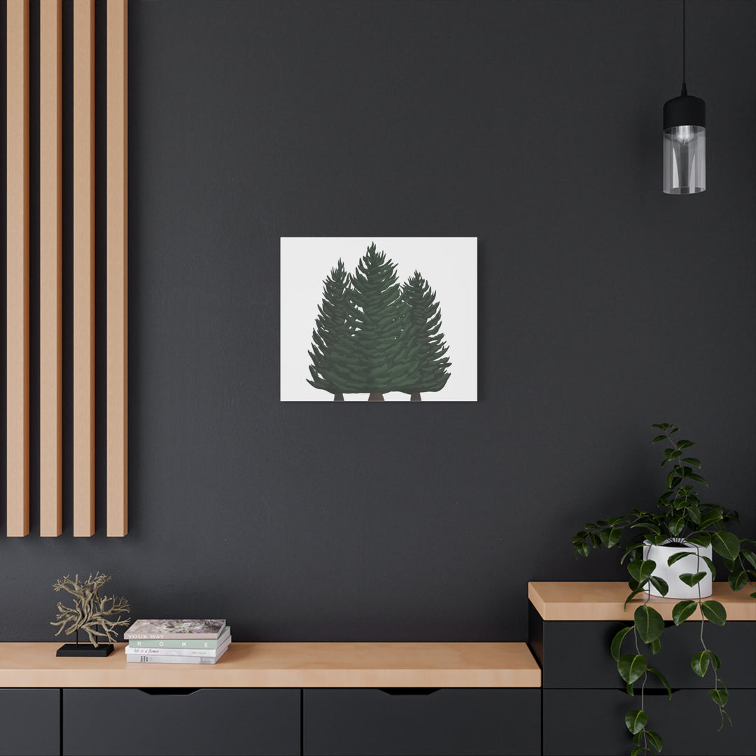 Douglas Fir Canvas Print – Wall Art