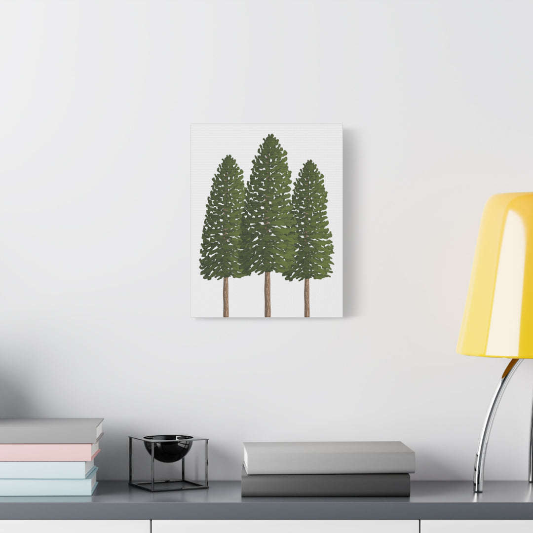 Three Ponderosa Pine Canvas Wall Art Matte Stretched Print Minimalist Forest Landscape Decor