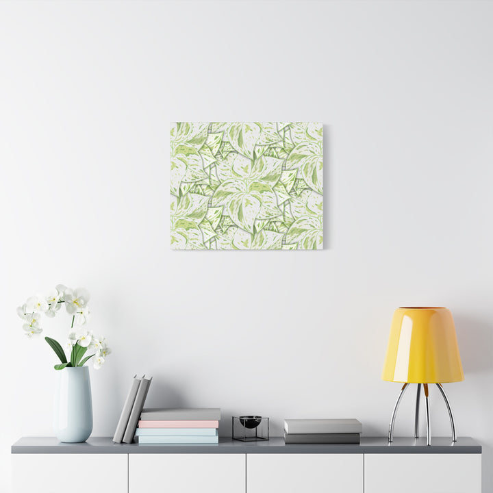 Snow Queen Pothos Canvas Print With Variegated White Leaves In Matte Finish For Modern Home Decor