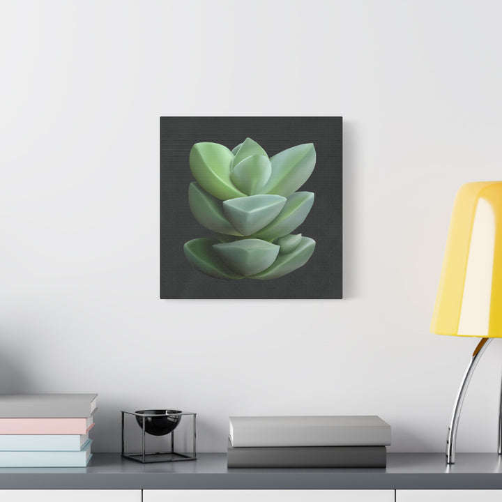 Crassula Canvas Print – Botanical Wall Art