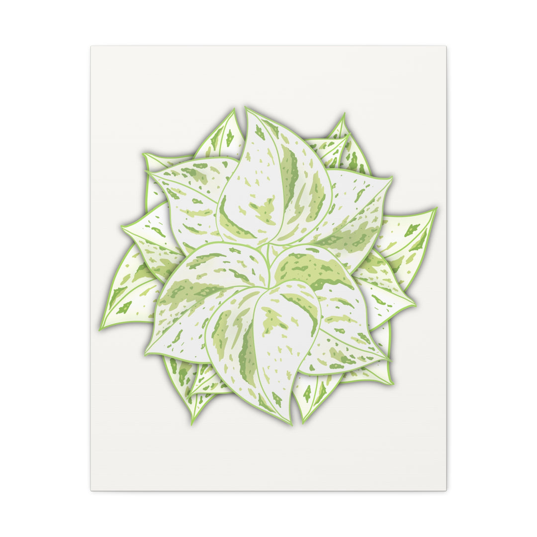 Snow Queen Pothos Canvas Wall Art Variegated Indoor Plant Leaf Poster Print Cotton Canvas