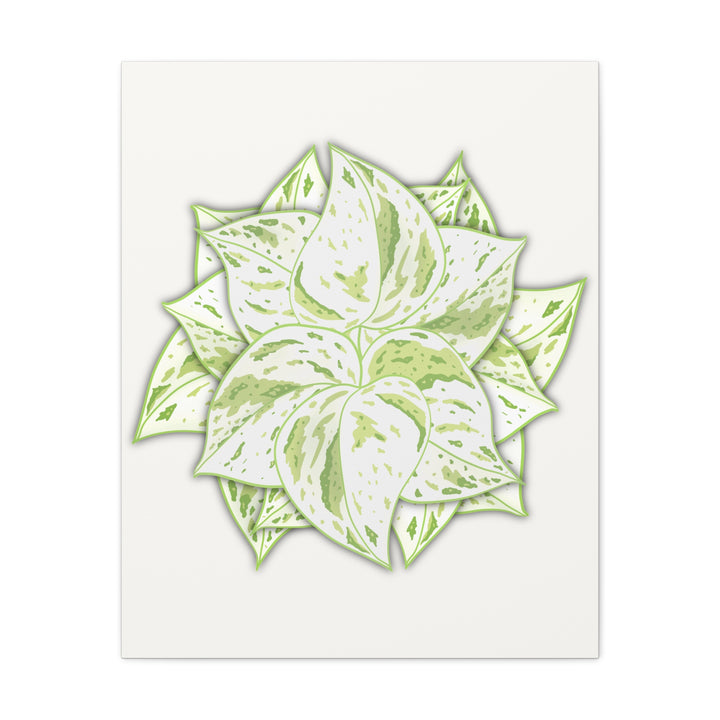 Snow Queen Pothos Canvas Wall Art Variegated Indoor Plant Leaf Poster Print Cotton Canvas