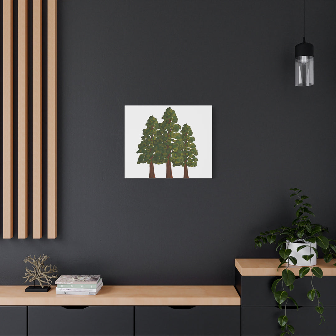 Coastal Redwoods Matte Canvas Print On 1.25 Inch Stretched Canvas For Serene Forest Wall Art In Living Rooms