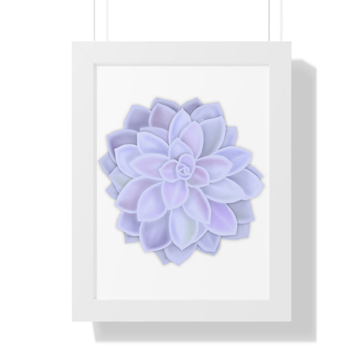 Graptopetalum Murasaki Succulent Framed Print – Botanical Wall Art - The Potted Pixel