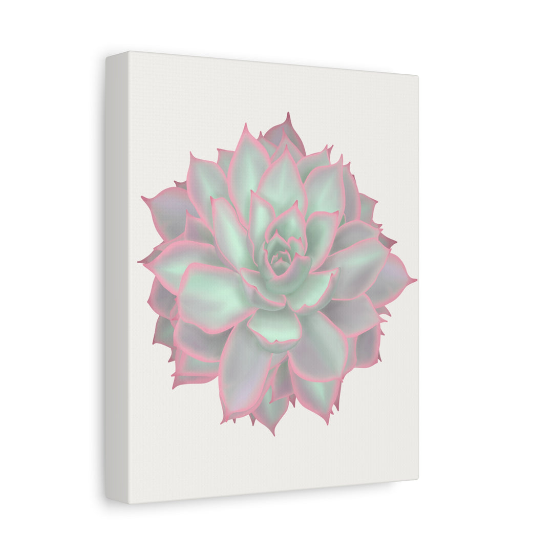 Echeveria Violet Queen Canvas Wall Art Rosette Succulent Print With Matte Finish