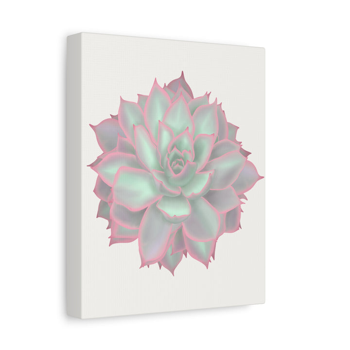 Echeveria Violet Queen Canvas Wall Art Rosette Succulent Print With Matte Finish