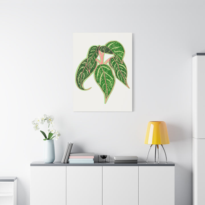 Aglaonema Sparkling Sarah Botanical Canvas Print On Matte Stretch Canvas For Modern Living Room Decor