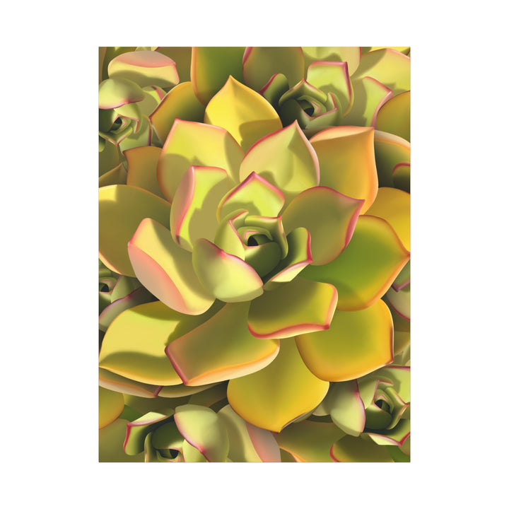 Succulent Canvas Art Vibrant Aeonium Print On Matte Canvas Wall Decor 12x18 Inches Indoor Home