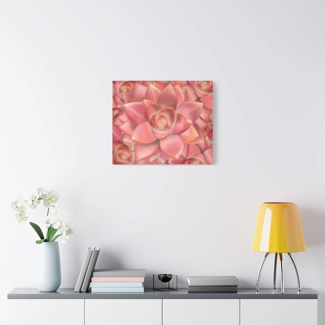Graptosedum California Sunset Succulent Canvas Print – Botanical Wall Art - The Potted Pixel