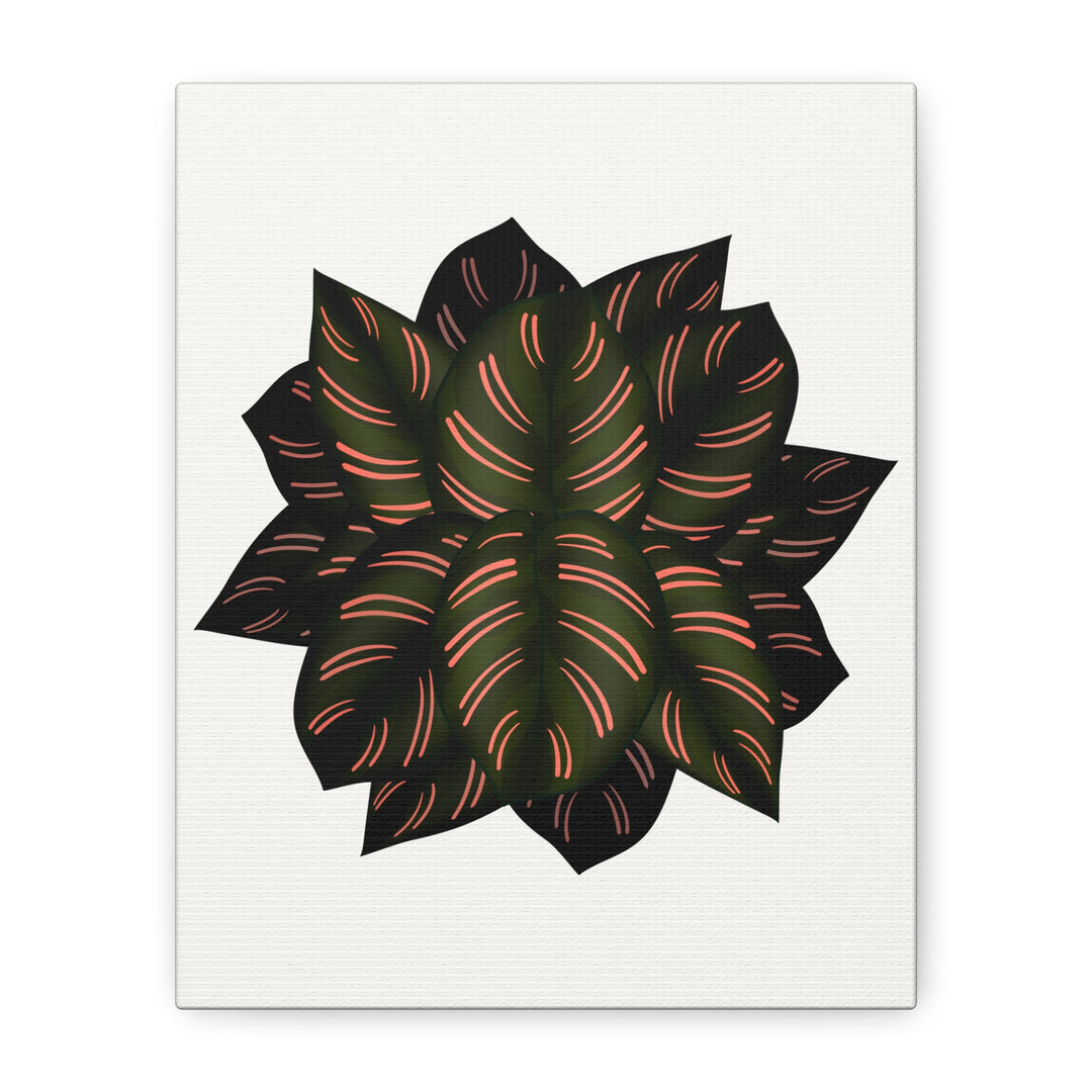 Calathea Pinstripe Canvas Botanical Wall Art Print On Stretched Cotton Canvas For Living Room Decor