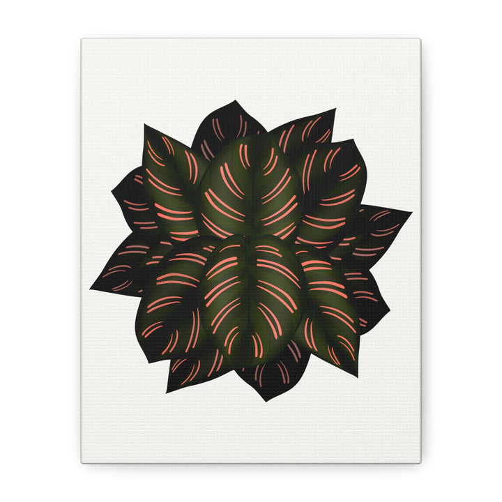 Calathea Pinstripe Canvas Botanical Wall Art Print On Stretched Cotton Canvas For Living Room Decor
