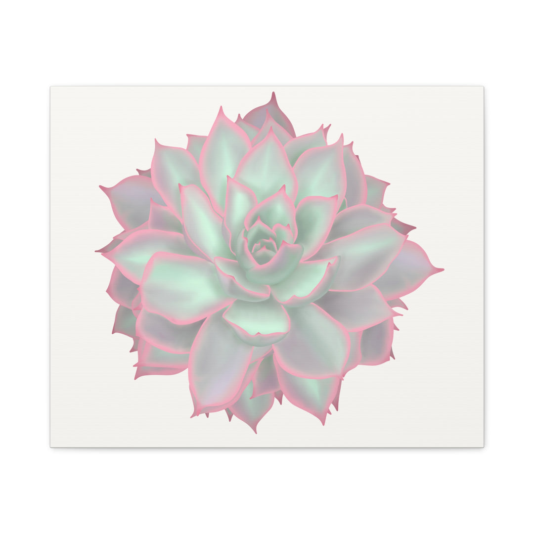 Echeveria Violet Queen Canvas Wall Art Rosette Succulent Print With Matte Finish