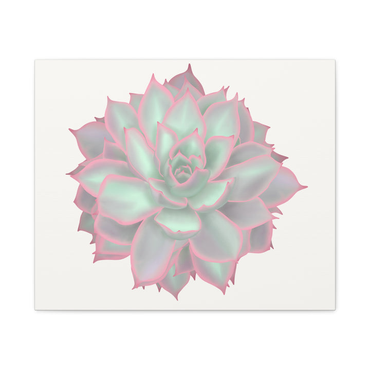 Echeveria Violet Queen Canvas Wall Art Rosette Succulent Print With Matte Finish