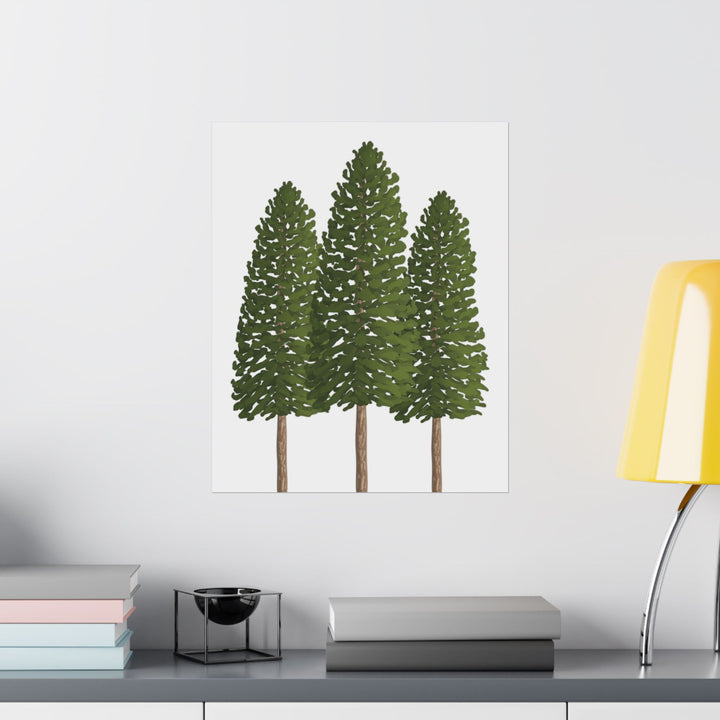 Ponderosa Pine Print – Unframed Wall Art