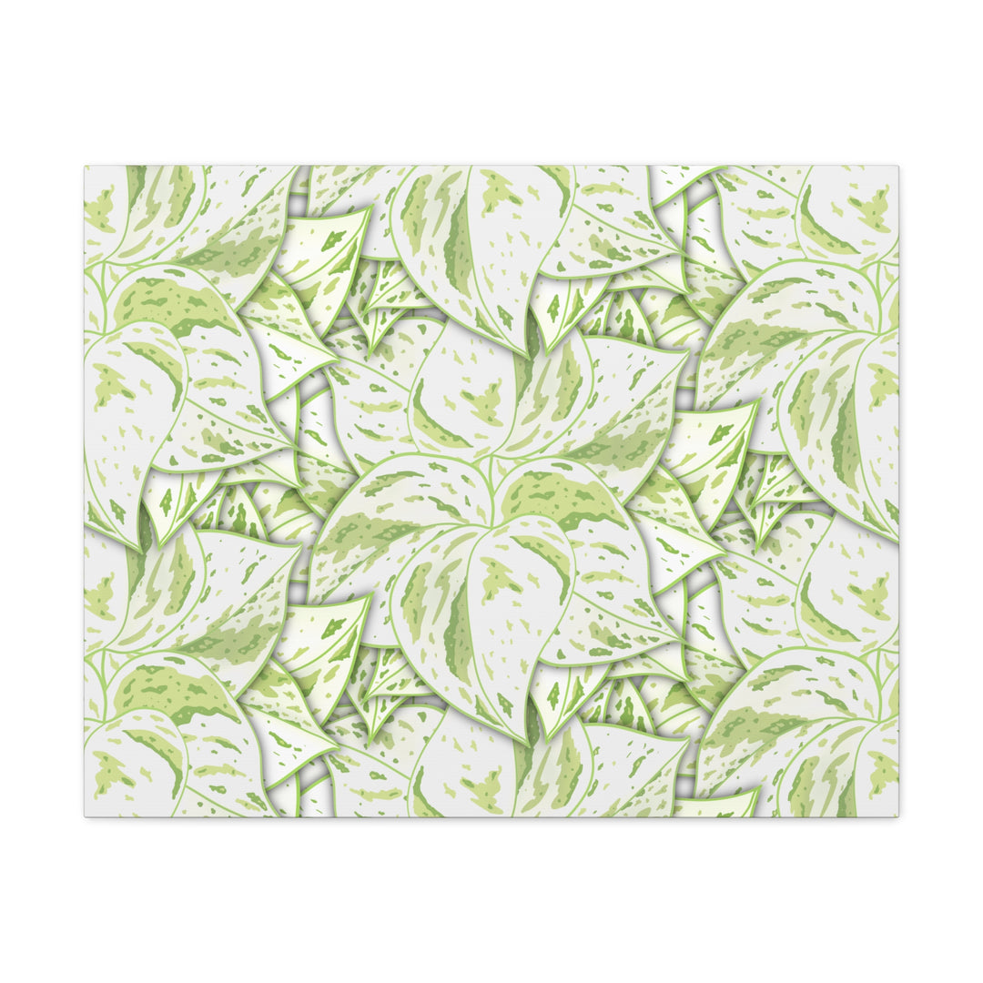 Snow Queen Pothos Canvas Print With Variegated White Leaves In Matte Finish For Modern Home Decor