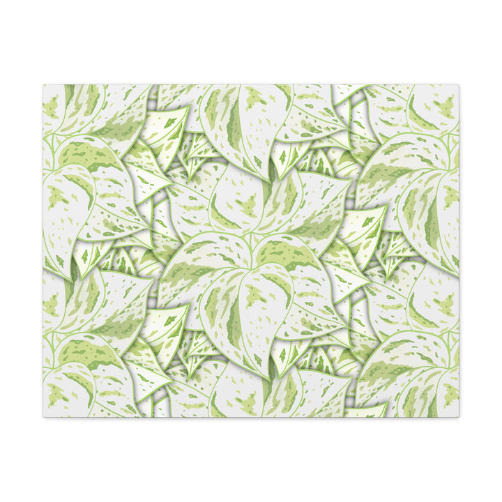Snow Queen Pothos Canvas Print With Variegated White Leaves In Matte Finish For Modern Home Decor