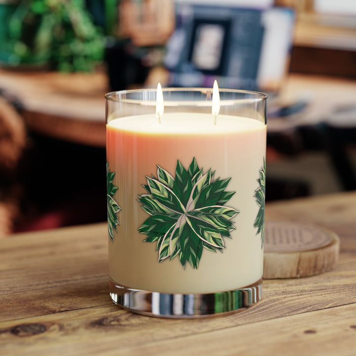 Stromanthe Triostar 11oz Scented Soy Candle Trio White Tea Fig Minted Lavender And Sage Ocean Mist Moss