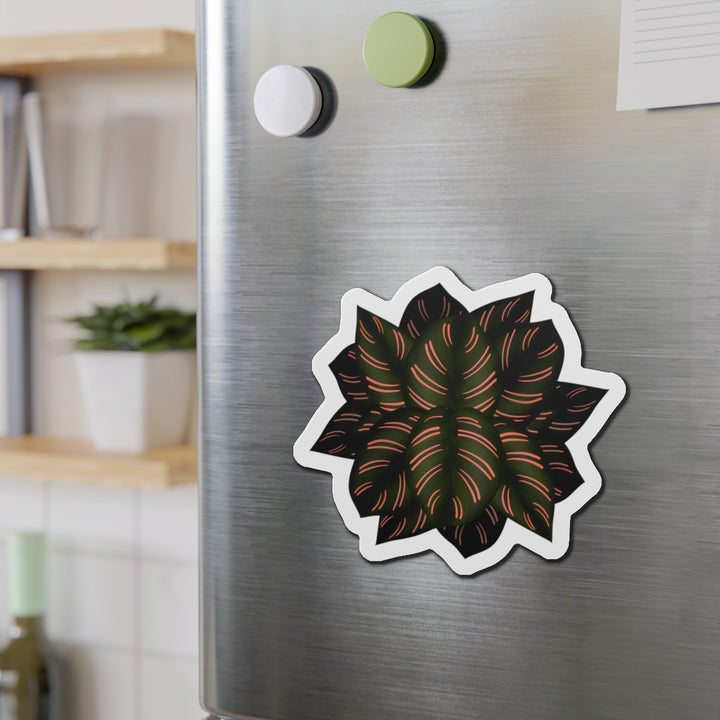 Calathea Pinstripe Magnet