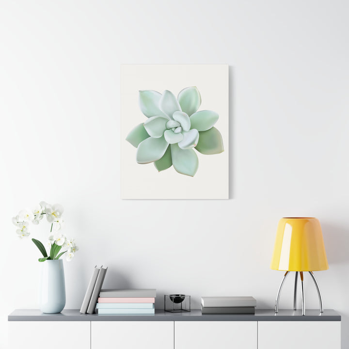 Succulent Canvas Art Pachyveria Haagei Print On Matte Finish Canvas Botanical Wall Decor