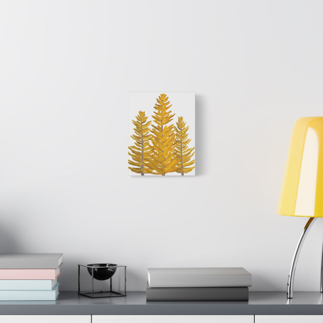 Western Larch Canvas Print – Wall Art