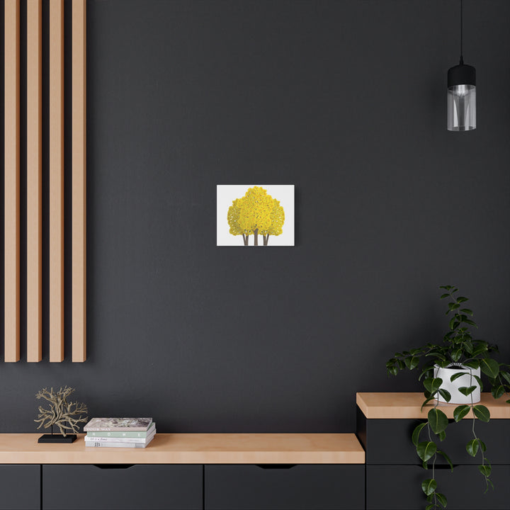 Big Leaf Maple Canvas Print – Wall Art