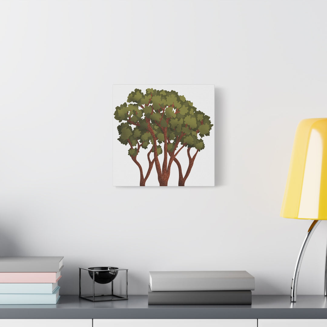 Pacific Madrone Canvas Print – Wall Art