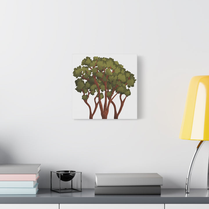 Pacific Madrone Canvas Print – Wall Art