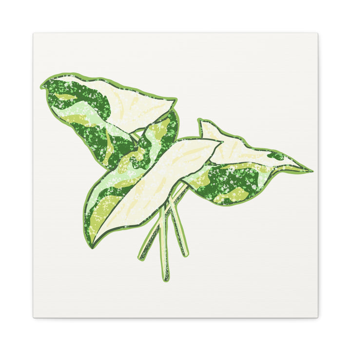 Marble Syngonium Canvas Botanical Wall Art Stretched Print On Durable Cotton Canvas Matte Finish