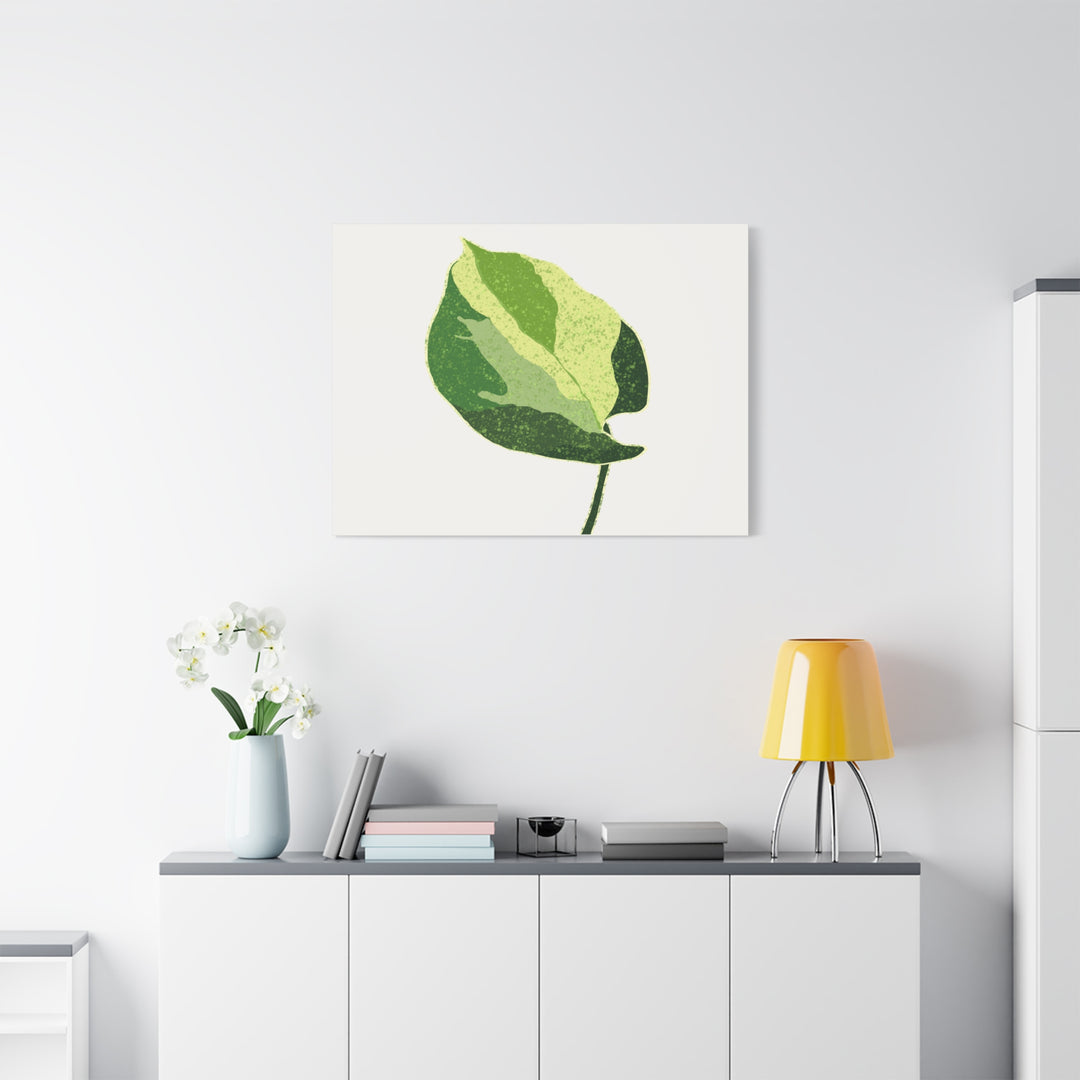 Manjula Pothos Botanical Canvas Print Matte Finish Stretched Canvas Wall Art 1.25 Inch Depth