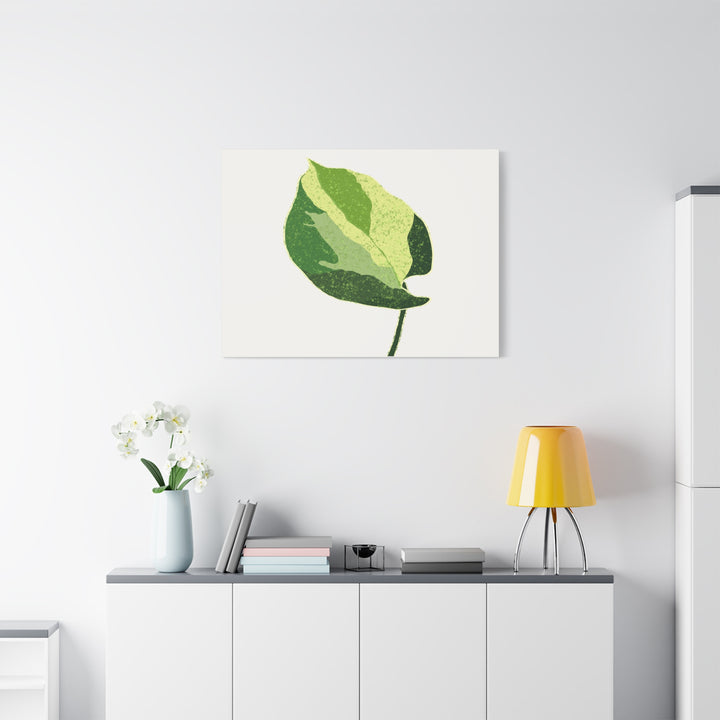 Manjula Pothos Botanical Canvas Print Matte Finish Stretched Canvas Wall Art 1.25 Inch Depth