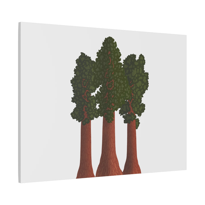 Giant Sequoias Canvas Print – Wall Art