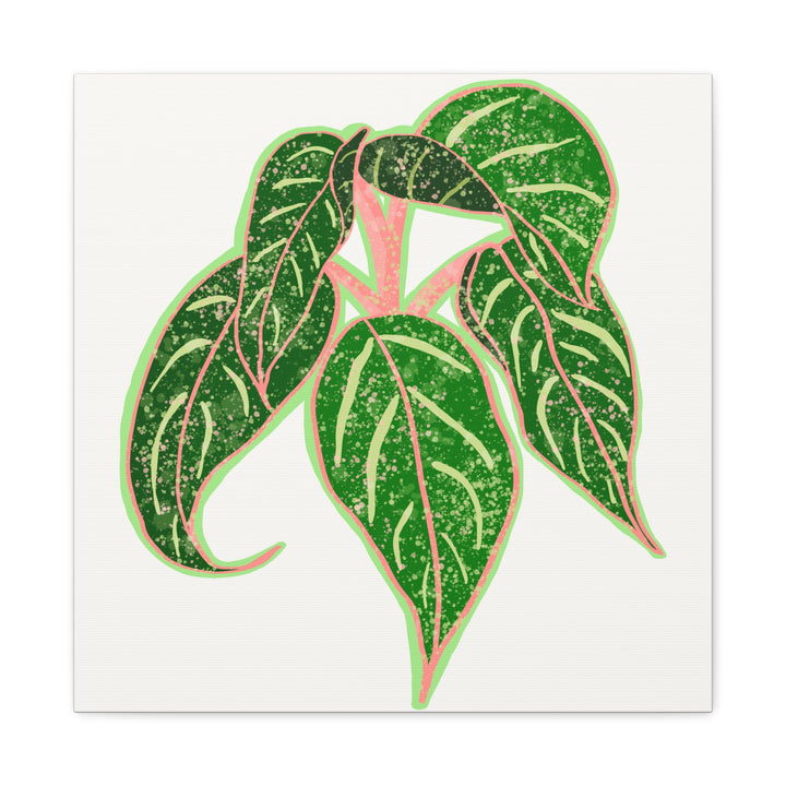 Aglaonema Sparkling Sarah Botanical Canvas Print On Matte Stretch Canvas For Modern Living Room Decor