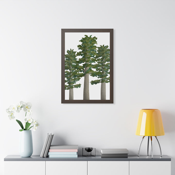 Sitka Spruce Framed Print – Wall Art