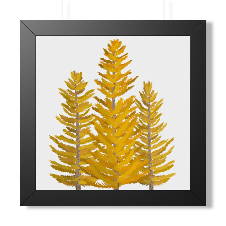 Western Larch Framed Print – Wall Art