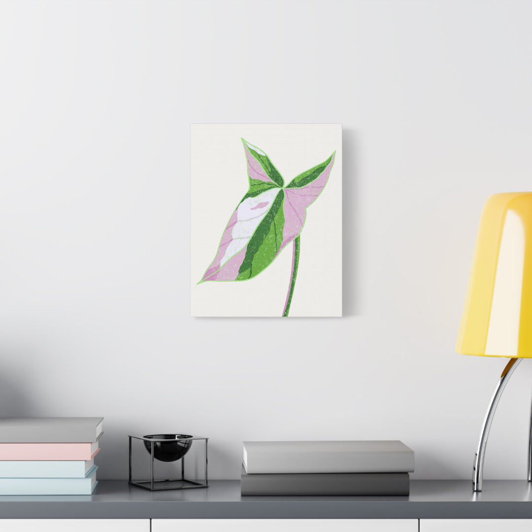 Syngonium Tricolor Canvas Print – Botanical Wall Art - The Potted Pixel