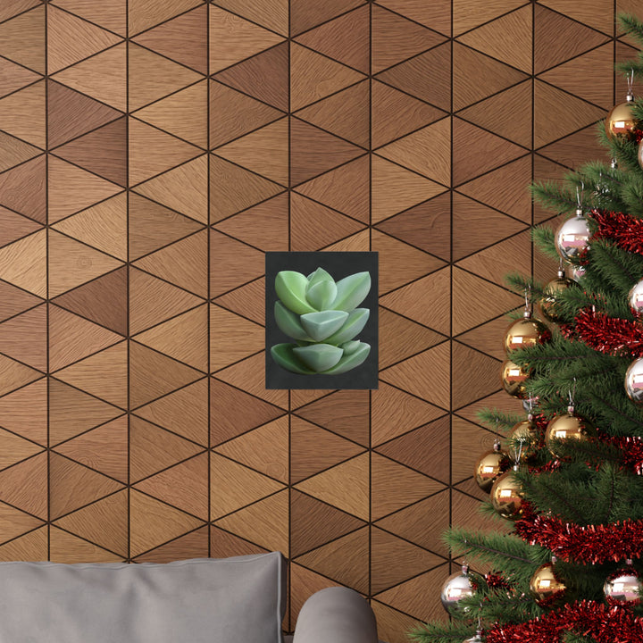 Crassula Botanical Print – Unframed Wall Art